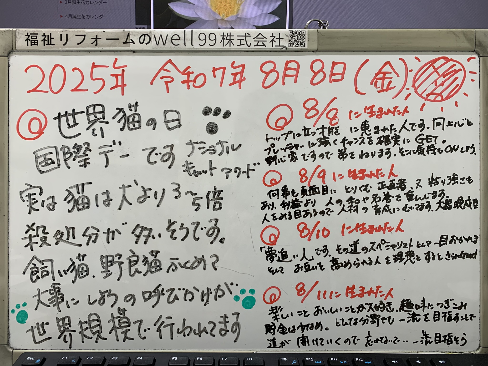 2025.08.08猫の日　well99株式会社