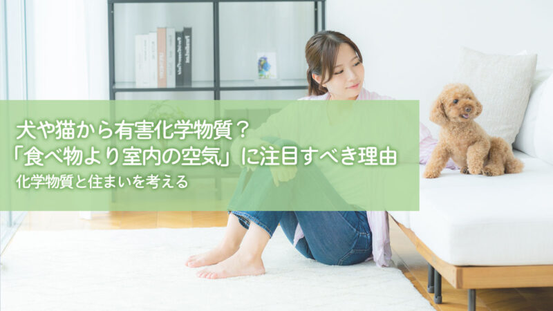 犬や猫から有害化学物質？「食べ物より室内の空気」に注目すべき理由｜化学物質と住まいを考える