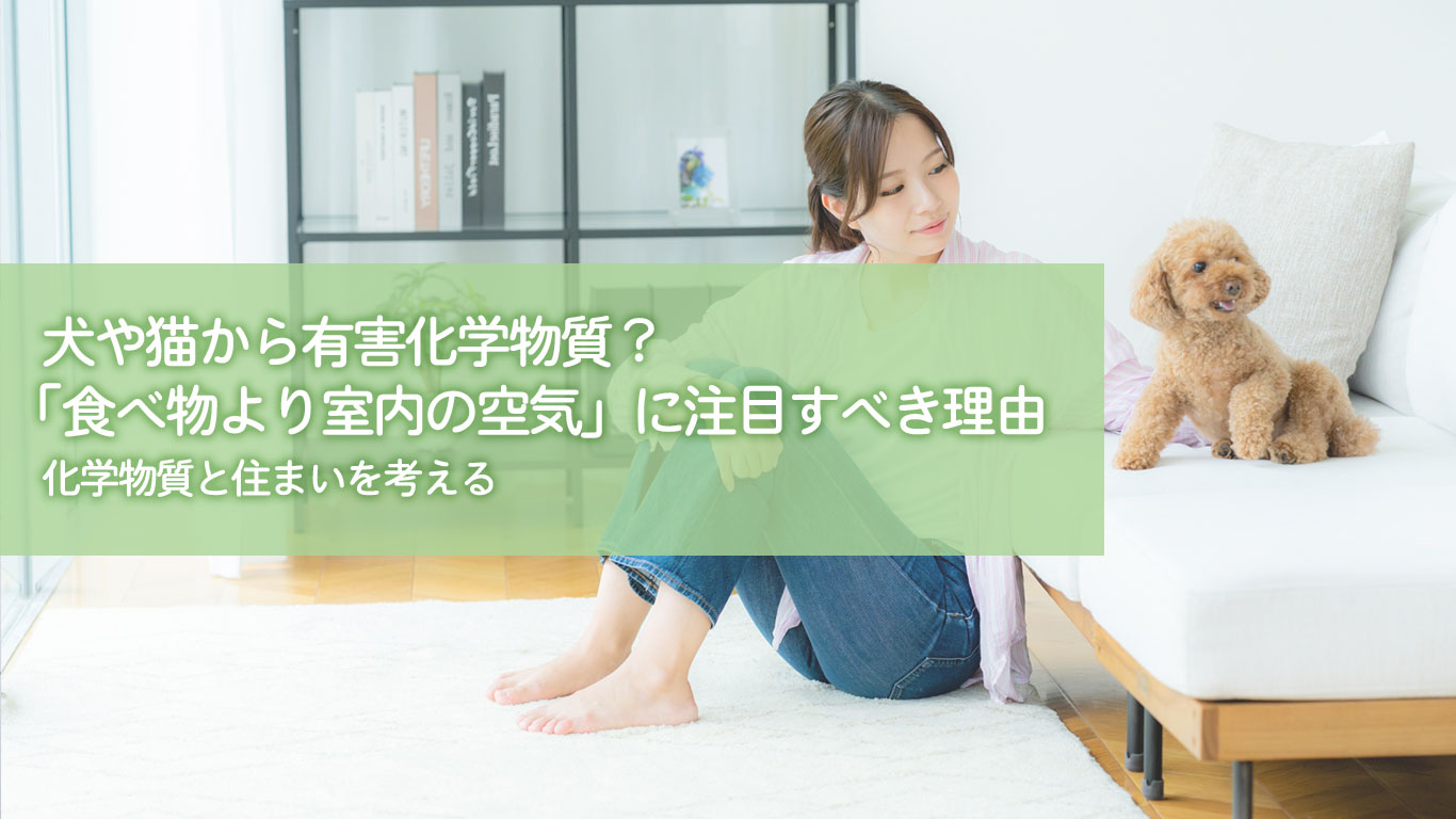 犬や猫から有害化学物質？「食べ物より室内の空気」に注目すべき理由｜化学物質と住まいを考える