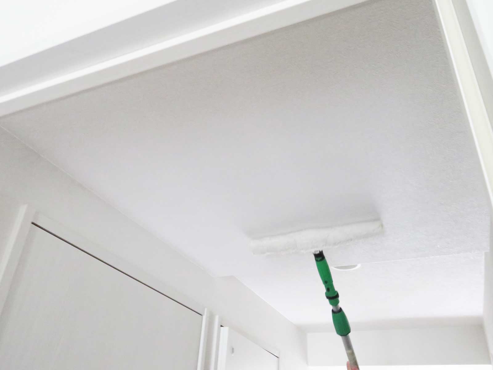 万生植物触媒　塗装