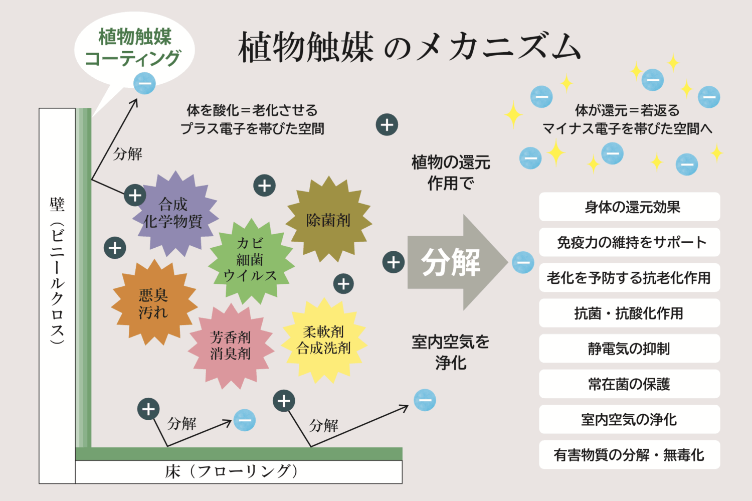 万生　植物触媒　メカニズム