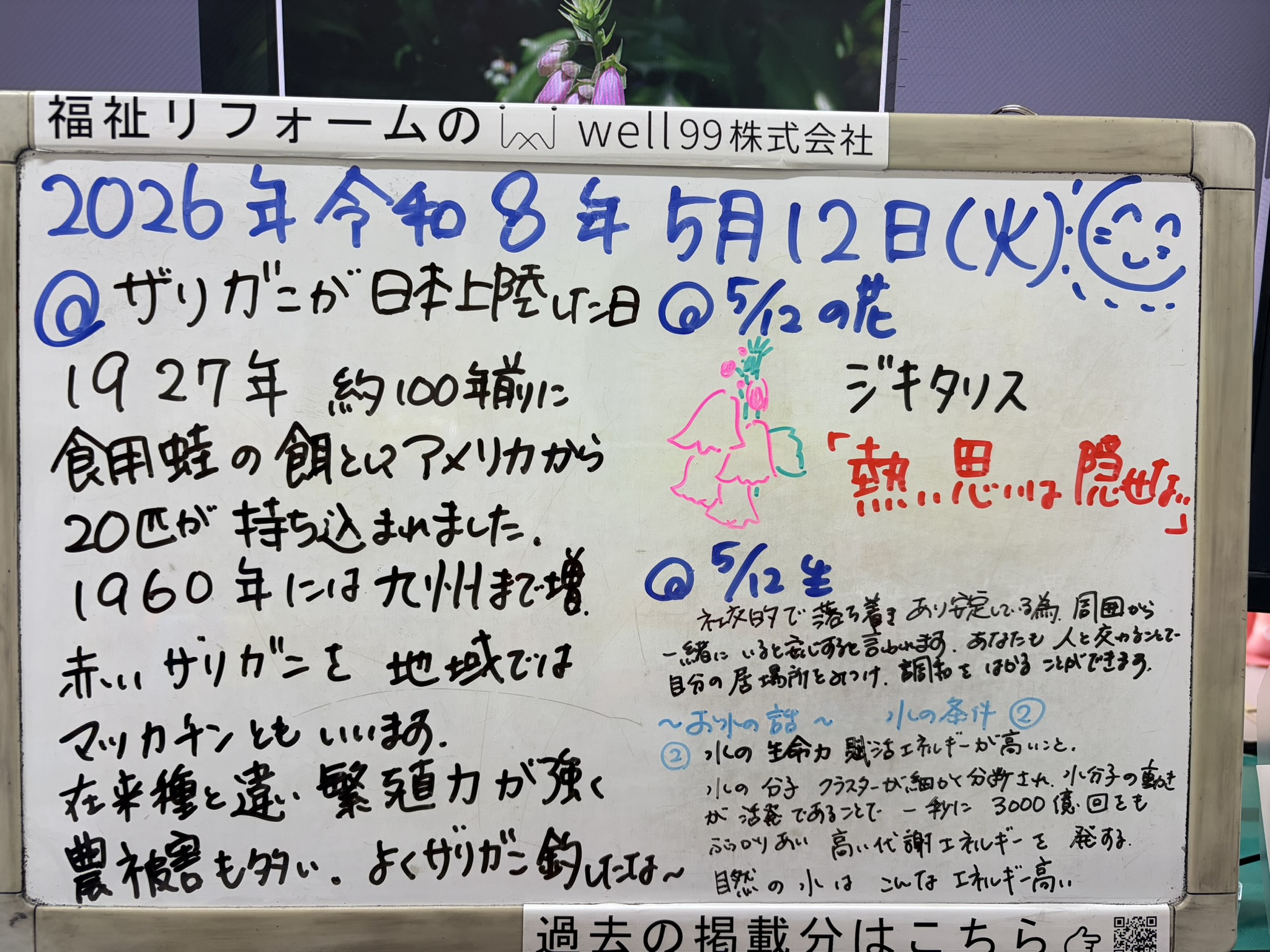 2026.05.12アメリカザリガニ　well99株式会社