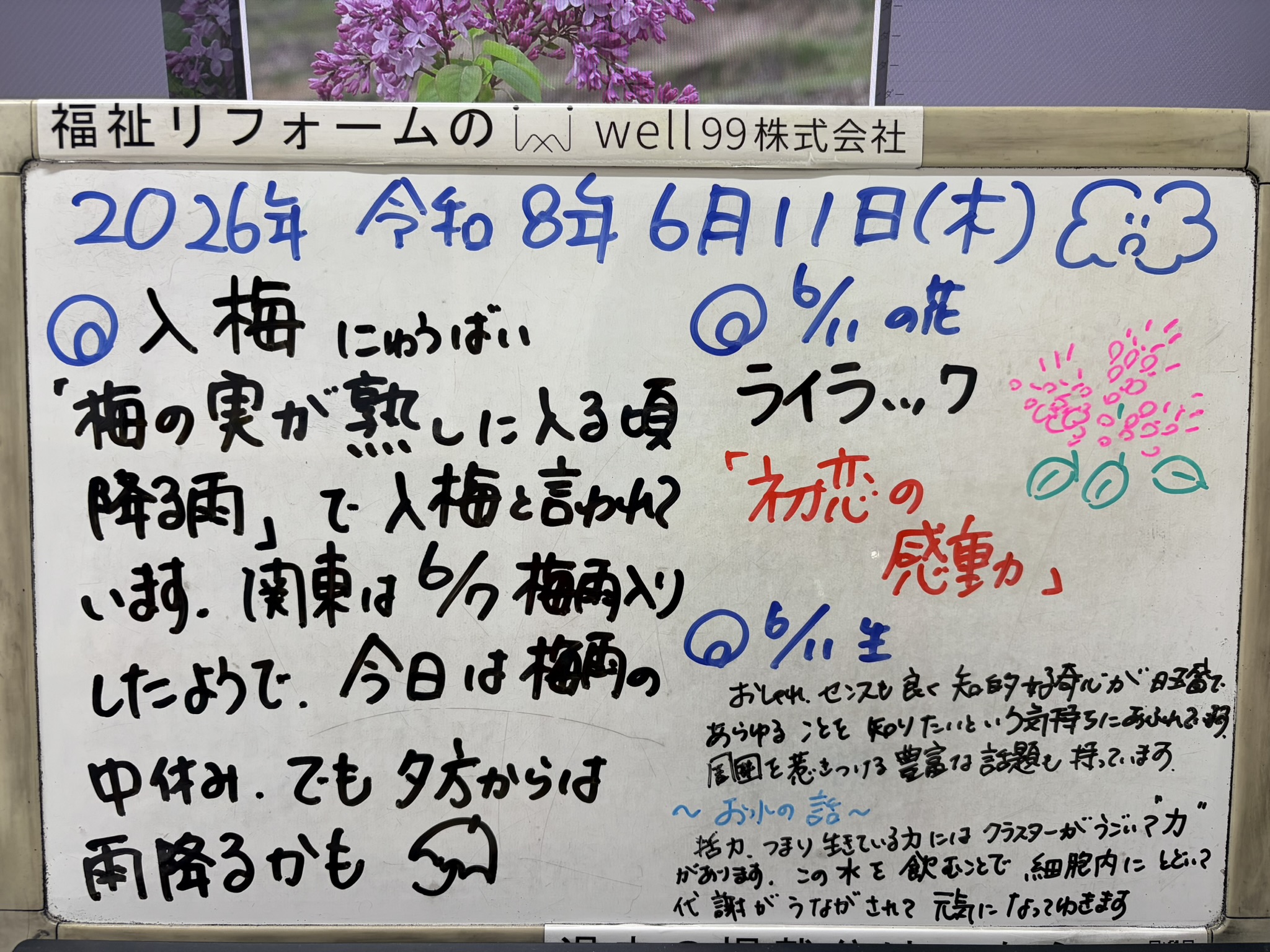 2026.06.11入梅　well99株式会社