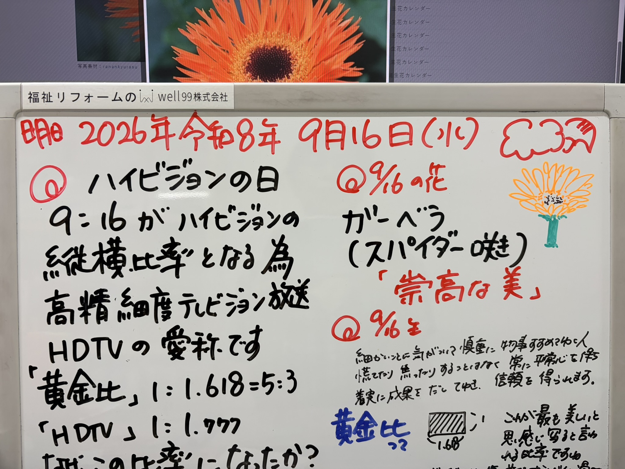 2026.09.16ハイビジョン比率　well99株式会社
